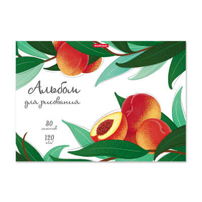 Альбом для рисования на клею Juicy Fruits, А4, 30 листов, арт. 58561, производитель ErichKrause® (Эрих Краузе), ISBN 460-1-92158-561-2№ 1