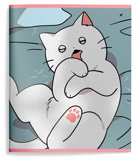 Тетрадь 48 л. А5 линия Snappy cat, арт. LXCBCL-SNC, производитель ФАРМ, ISBN 460-2-72319-080-6, № 4