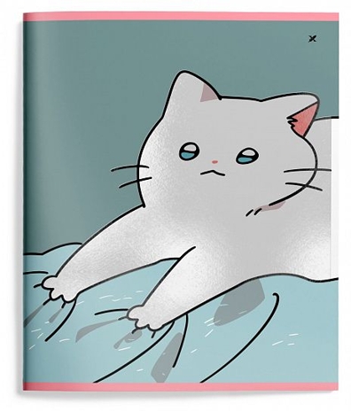 Тетрадь 48 л. А5 линия Snappy cat, арт. LXCBCL-SNC, производитель ФАРМ, ISBN 460-2-72319-080-6№ 6