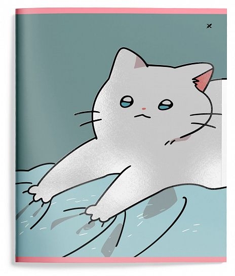 Тетрадь 48 л. А5 линия Snappy cat, арт. LXCBCL-SNC, производитель ФАРМ, ISBN 460-2-72319-080-6, № 6