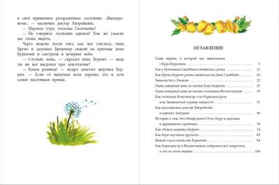 Наша марка. Бабурова. Бурквиль, производитель Детская литература, ISBN 978-5-08006-446-3№ 6