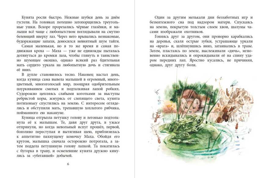 Наша марка. Зиганшин. Маха, или История жизни кунички, производитель Детская литература, ISBN 978-5-08006-433-3, № 3