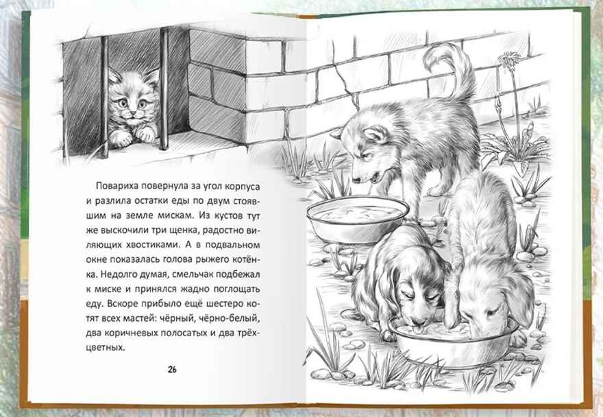 Я тебя не брошу. Полосатое счастье., производитель Проф-Пресс , ISBN 978-5-37835-816-8, № 2