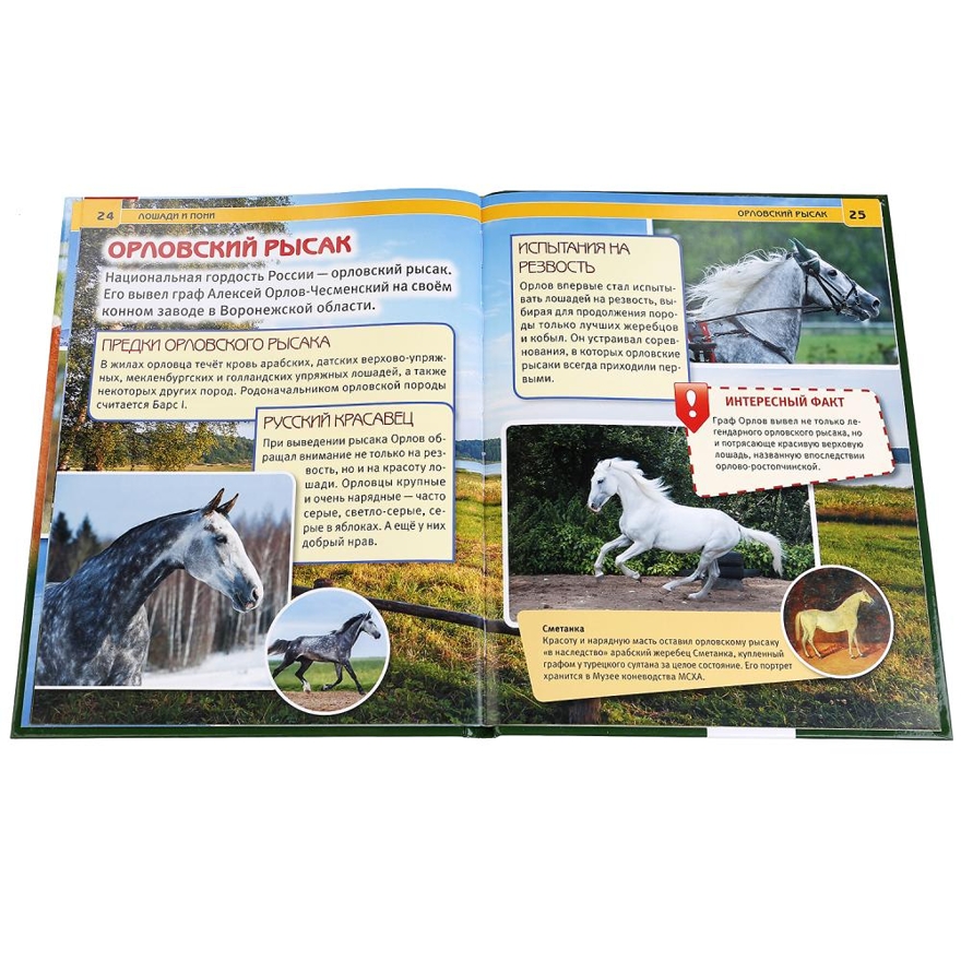 Лошади и пони. Энциклопедия с развивающими заданиями, производитель Умка, ISBN 978-5-50602-274-9, № 2