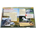 Лошади и пони. Энциклопедия с развивающими заданиями, производитель Умка, ISBN 978-5-50602-274-9, № 2