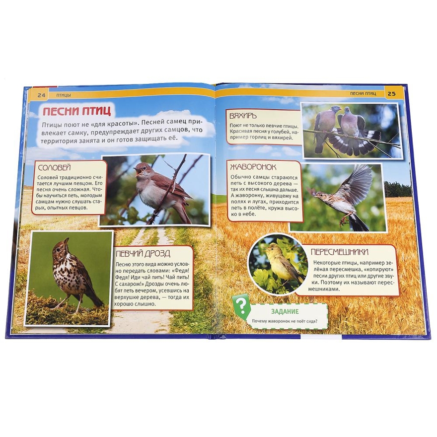 Птицы. Энциклопедия с развивающими заданиями, производитель Умка, ISBN 978-5-50602-284-8, № 2