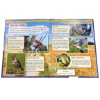 Птицы. Энциклопедия с развивающими заданиями, производитель Умка, ISBN 978-5-50602-284-8, № 2