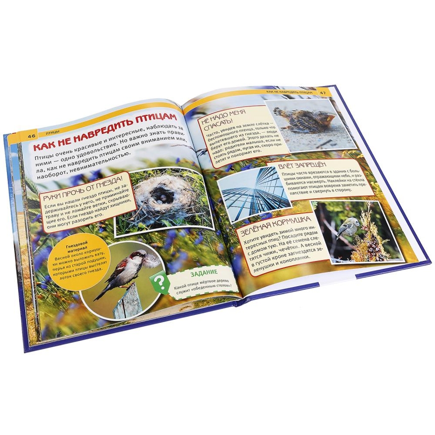 Птицы. Энциклопедия с развивающими заданиями, производитель Умка, ISBN 978-5-50602-284-8, № 3