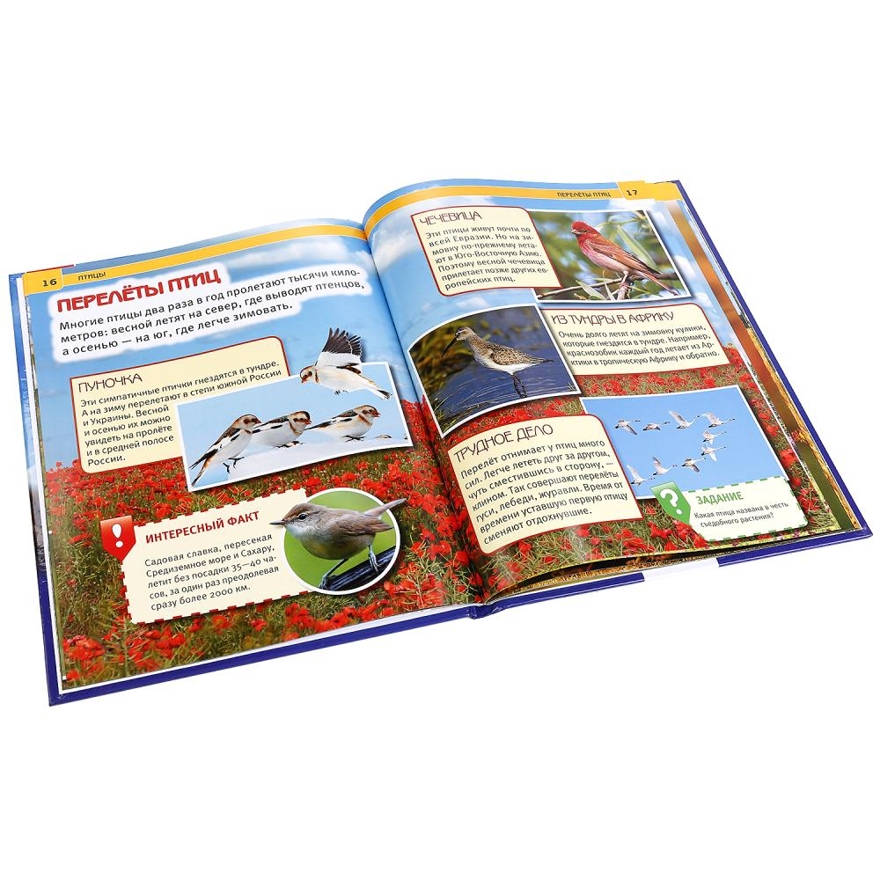 Птицы. Энциклопедия с развивающими заданиями, производитель Умка, ISBN 978-5-50602-284-8, № 4