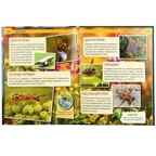 Насекомые. Энциклопедия с развивающими заданиями, производитель Умка, ISBN 978-5-50602-334-0, № 2