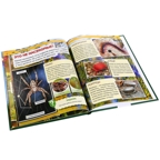 Насекомые. Энциклопедия с развивающими заданиями, производитель Умка, ISBN 978-5-50602-334-0, № 3