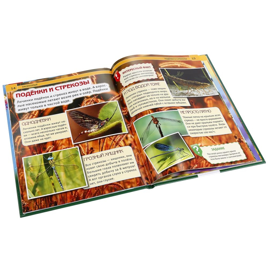 Насекомые. Энциклопедия с развивающими заданиями, производитель Умка, ISBN 978-5-50602-334-0, № 4