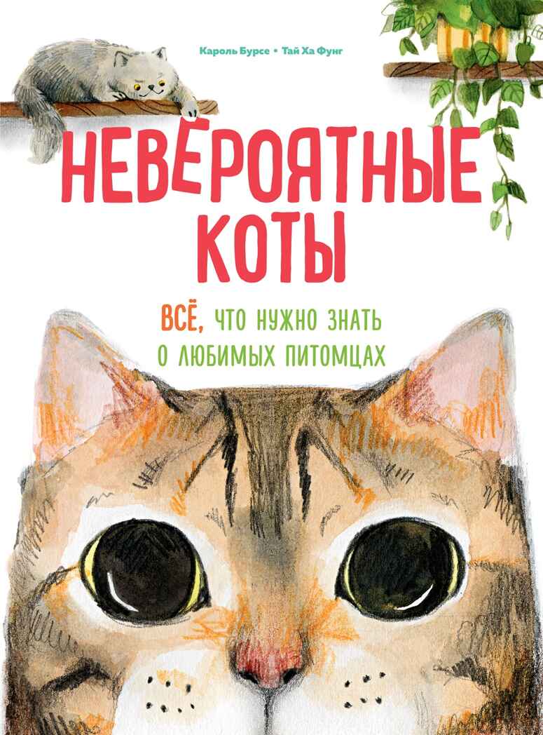 Невероятные коты. Всё, что нужно знать о любимых питомцах, производитель Махаон , ISBN 978-5-38927-501-0, № 1