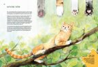 Невероятные коты. Всё, что нужно знать о любимых питомцах, производитель Махаон , ISBN 978-5-38927-501-0, № 3