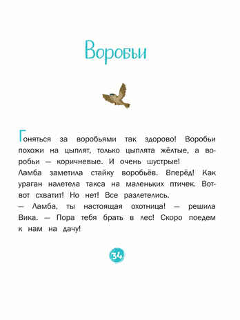 Каждой таксе нужен дом. 30 историй для первого чтения. Матвеева Е.И., производитель БИНОМ , ISBN 978-5-09099-773-7№ 2