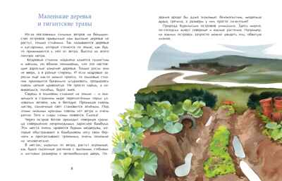 Курилы. Самый край российской земли, производитель Настя и Никита , ISBN 978-5-90784-214-4№ 5