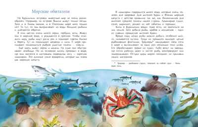 Курилы. Самый край российской земли, производитель Настя и Никита , ISBN 978-5-90784-214-4№ 6