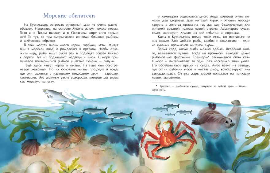 Курилы. Самый край российской земли, производитель Настя и Никита , ISBN 978-5-90784-214-4, № 6