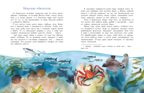 Курилы. Самый край российской земли, производитель Настя и Никита , ISBN 978-5-90784-214-4, № 6