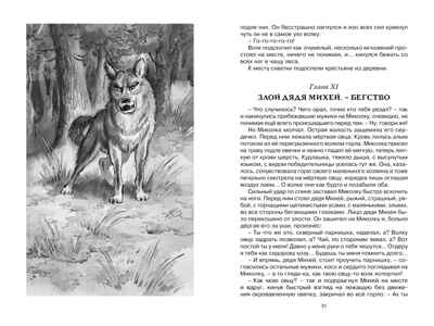 Дом шалунов, производитель Махаон , ISBN 978-5-38924-570-9№ 3