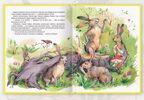 Аленушкины сказки. Любимые сказки. Подарочные, производитель Проф-Пресс , ISBN 978-5-37802-802-3, № 2
