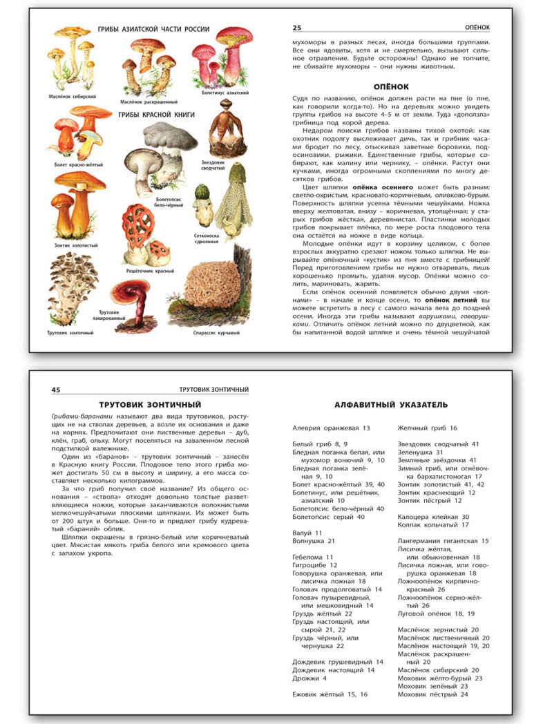 ШС Грибы: съедобные и несъедобные, производитель Вако , ISBN 978-5-40806-355-0, № 4