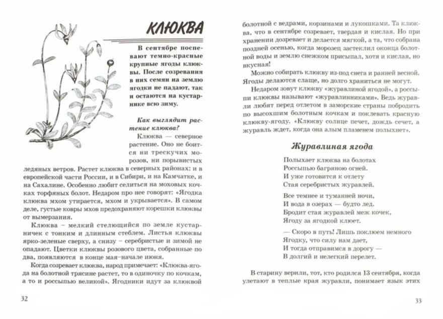 Ягоды Какие они?, производитель Гном , ISBN 978-5-00160-705-2, № 2