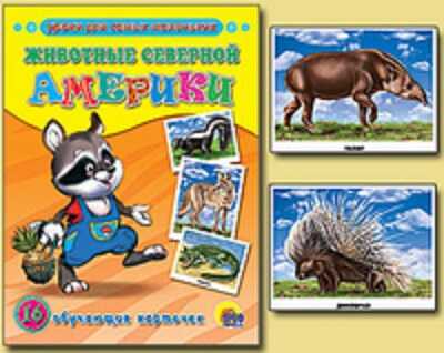 Обучающие карточки. Животные Северной Америки, производитель Проф-Пресс , ISBN 978-5-37803-077-4№ 1