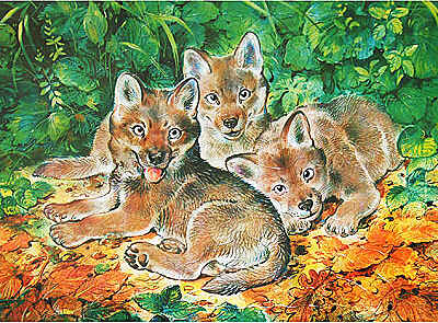 Пазл &quot;Детеныши. Волчата&quot;, производитель Дрофа-медиа, ISBN 460-7-01405-478-2№ 1