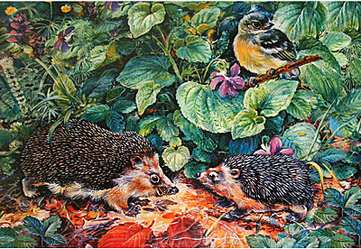 Пазл "Детеныши. Ежата", производитель Дрофа-медиа, ISBN 460-7-01405-497-3, № 1