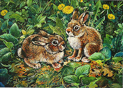 Пазл &quot;Детеныши. Зайчата&quot;, производитель Дрофа-медиа, ISBN 460-7-14735-236-6№ 1