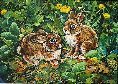 Пазл &quot;Детеныши. Зайчата&quot;, производитель Дрофа-медиа, ISBN 460-7-14735-236-6, № 1