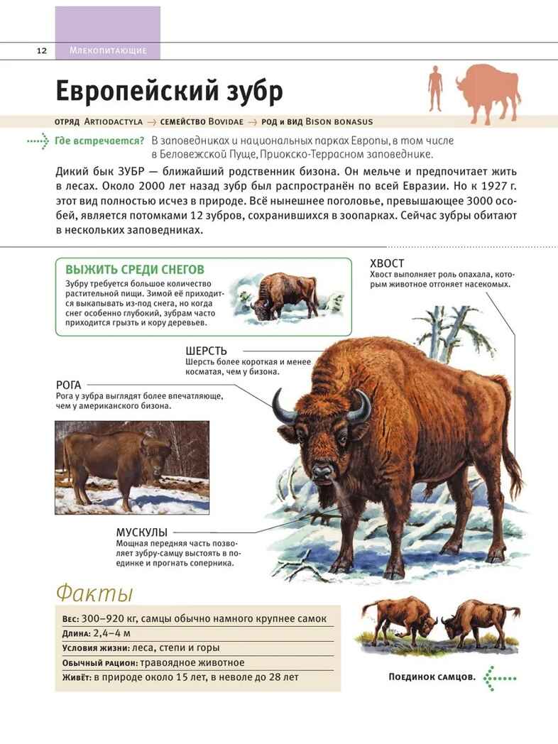 Животные. Все обитатели нашей планеты, производитель Эксмо , ISBN 978-5-04169-497-5, № 11