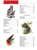 Животные. Все обитатели нашей планеты, производитель Эксмо , ISBN 978-5-04169-497-5, № 5