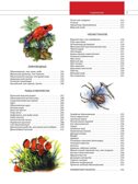 Животные. Все обитатели нашей планеты, производитель Эксмо , ISBN 978-5-04169-497-5, № 6