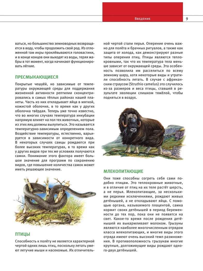 Животные. Все обитатели нашей планеты, производитель Эксмо , ISBN 978-5-04169-497-5, № 8