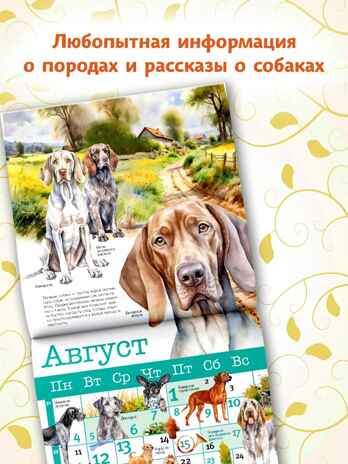 Собаки мира. Календарь для детей на 2025 год, производитель АСТ , ISBN 978-5-17163-989-1№ 3