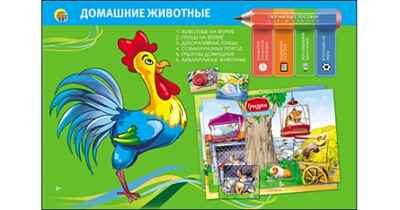 Обучающее пособие. Домашние животные, арт.по-0399, производитель Рыжий кот, ISBN 466-5-29540-399-6№ 1