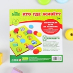 Секретики Кто где живет 210х210 мм, арт. 3837608, производитель Лесная мастерская, ISBN 690-0-03837-608-2, № 8