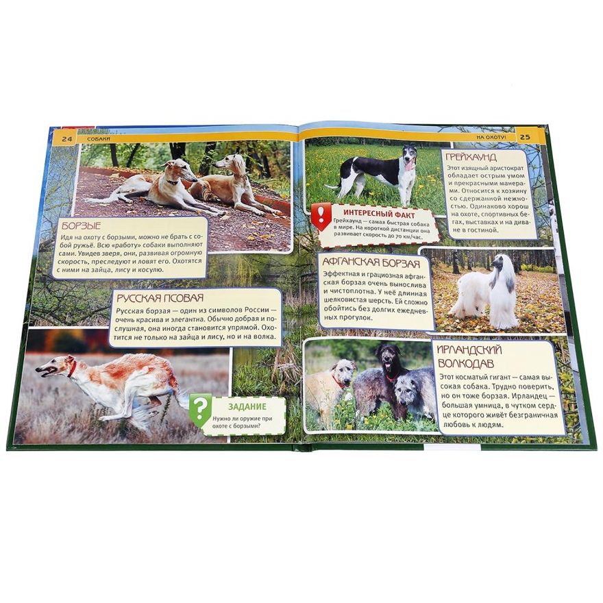 Собаки. Энциклопедия с развивающими заданиями, производитель Умка, ISBN 978-5-50602-336-4, № 2