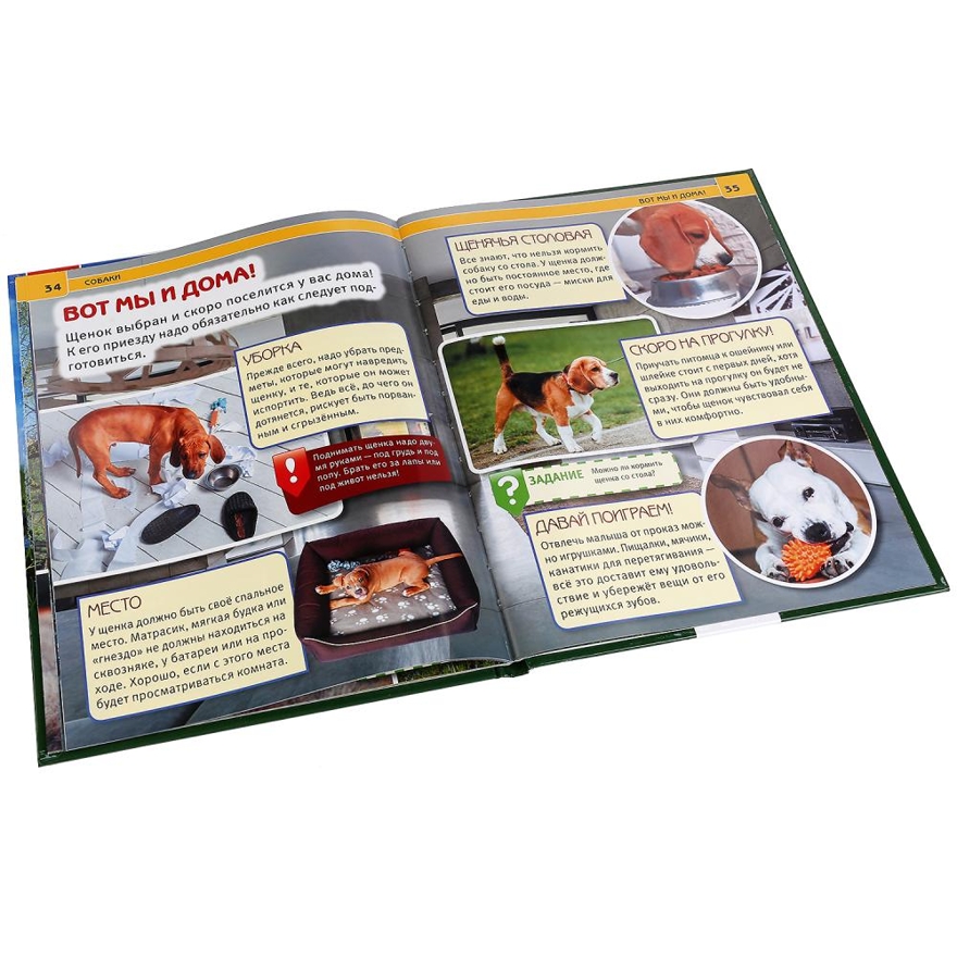 Собаки. Энциклопедия с развивающими заданиями, производитель Умка, ISBN 978-5-50602-336-4, № 3
