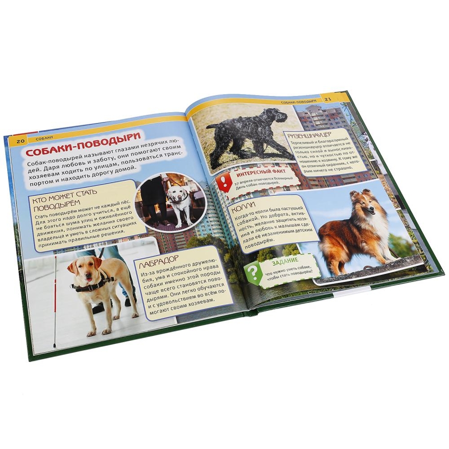 Собаки. Энциклопедия с развивающими заданиями, производитель Умка, ISBN 978-5-50602-336-4, № 4