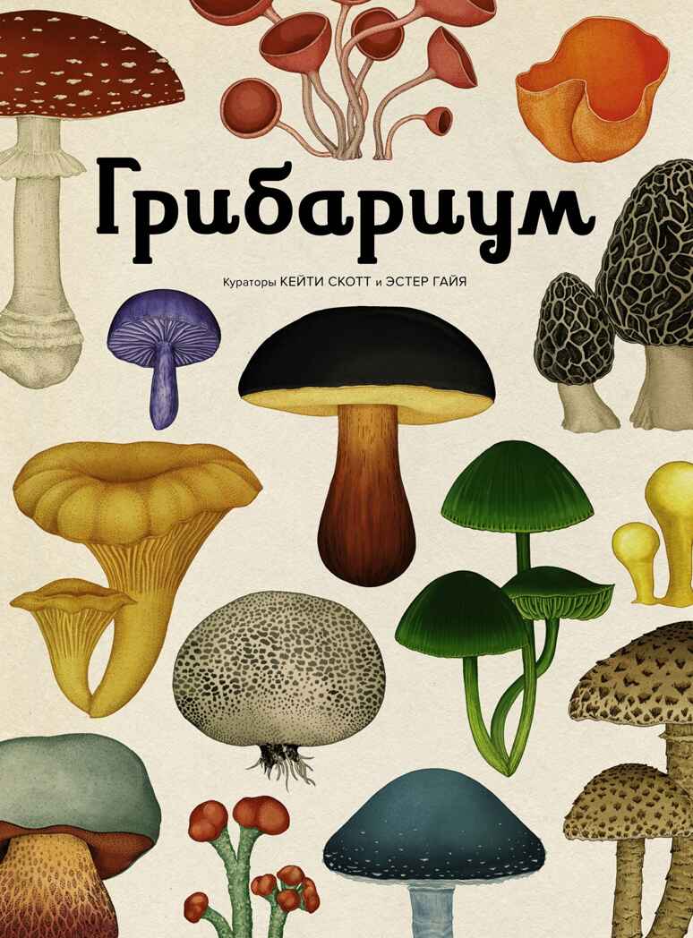 Грибариум, производитель Махаон , ISBN 978-5-38929-776-0, № 1