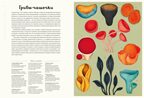 Грибариум, производитель Махаон , ISBN 978-5-38929-776-0, № 3