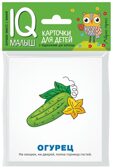 Умный малыш. Загадки. Набор карточек для детей. IQ малыш, производитель Айрис-пресс , ISBN 978-5-81127-120-7, № 1