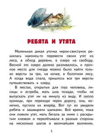Ребята и утята. Рассказы., производитель Мозаичный Парк , ISBN 978-5-90804-211-6 № 4