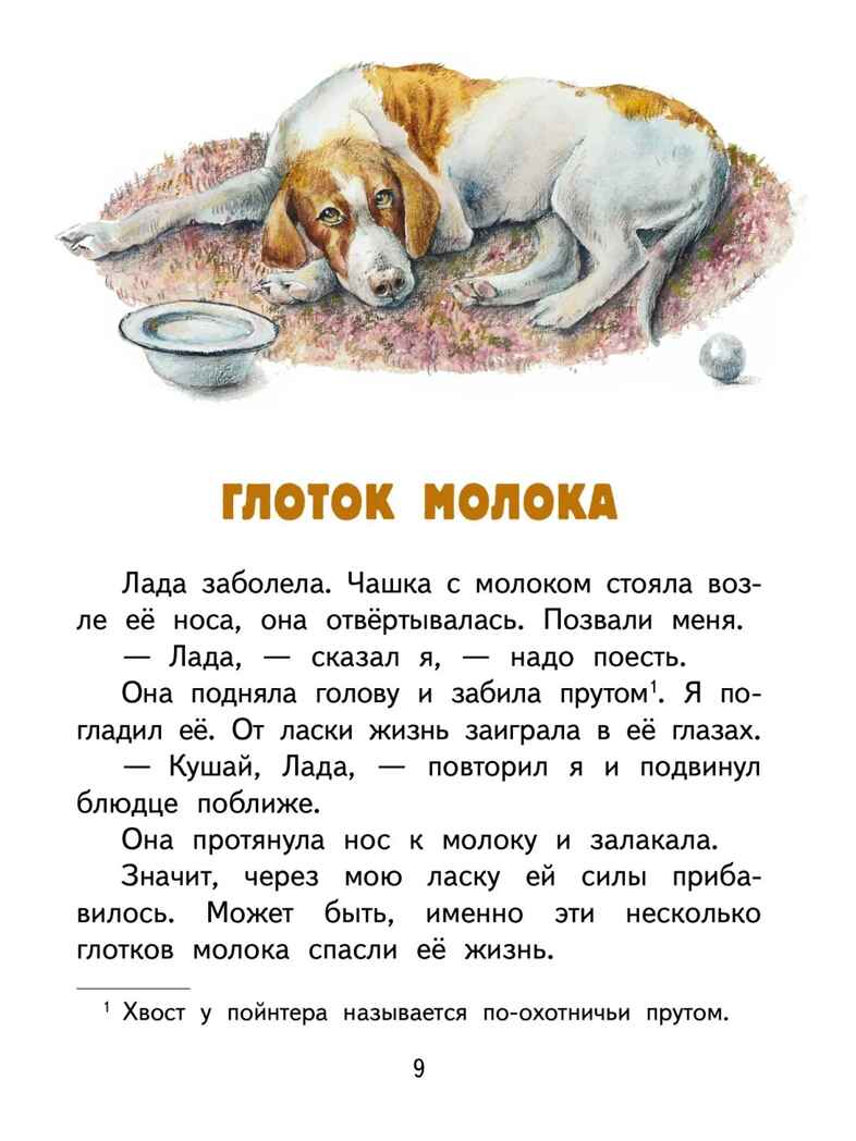Ребята и утята. Рассказы., производитель Мозаичный Парк , ISBN 978-5-90804-211-6, № 6