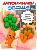 Развивающий набор Яркие овощи (сортер), арт. 10897591, производитель Sima-land (Сима-Ленд), ISBN 467-0-43537-507-1, № 3