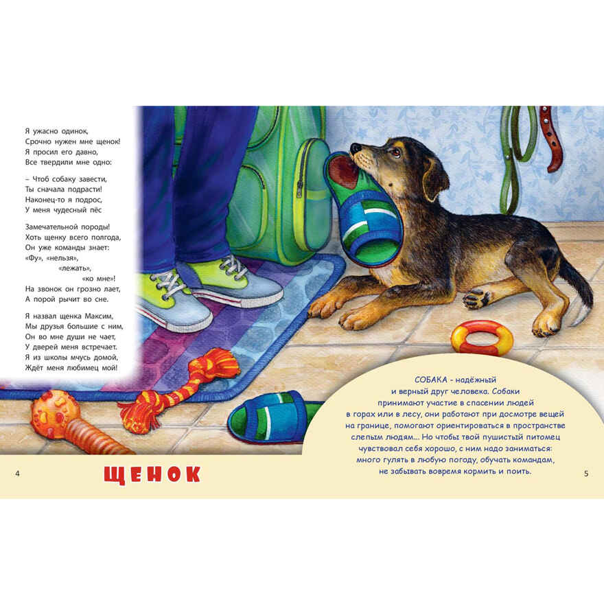 Домашние питомцы, производитель ЭНАС-КНИГА , ISBN 978-5-00198-589-1, № 2