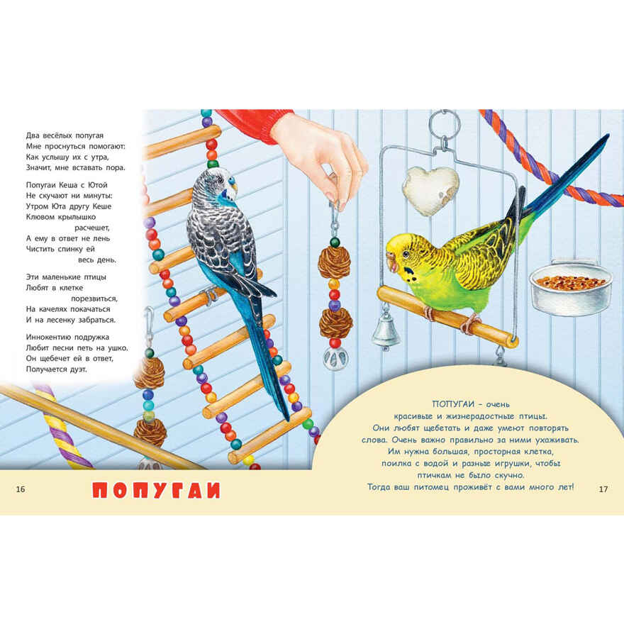 Домашние питомцы, производитель ЭНАС-КНИГА , ISBN 978-5-00198-589-1, № 4